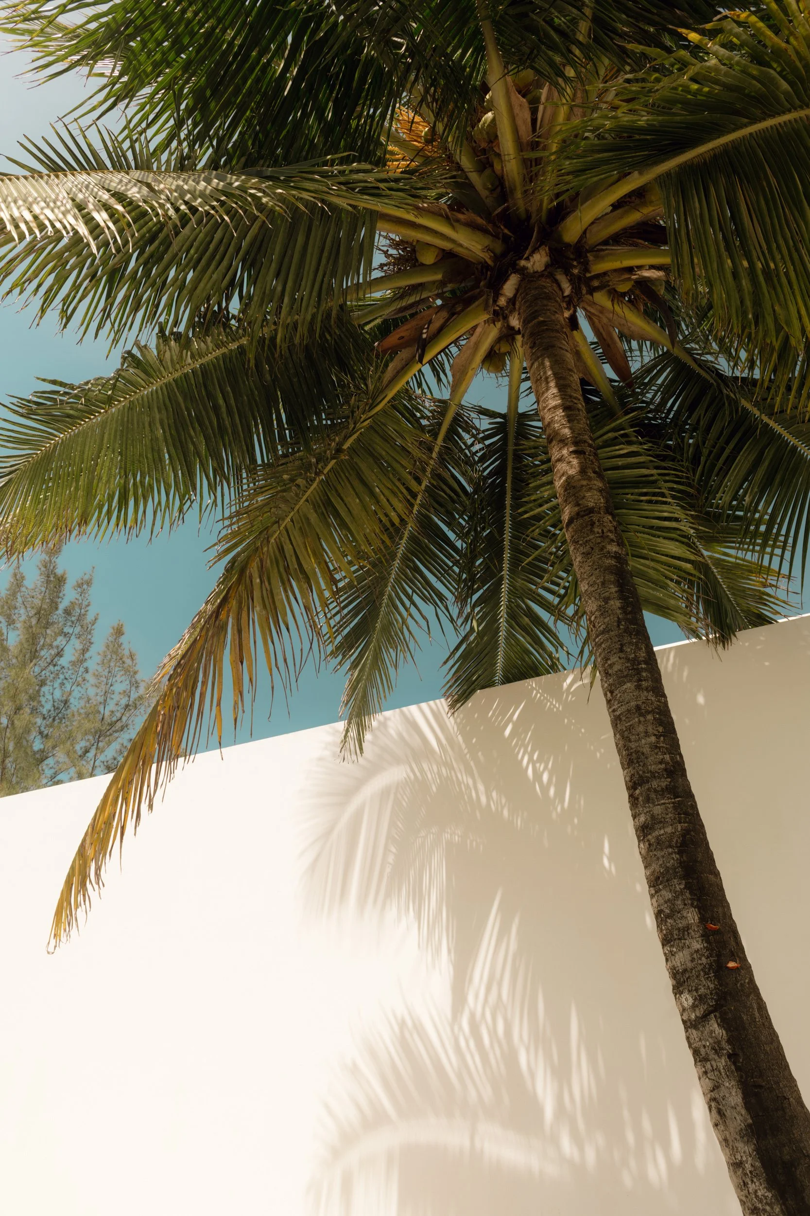 recco-ss27-bahia-brazil-eduarda-goa-106.jpg