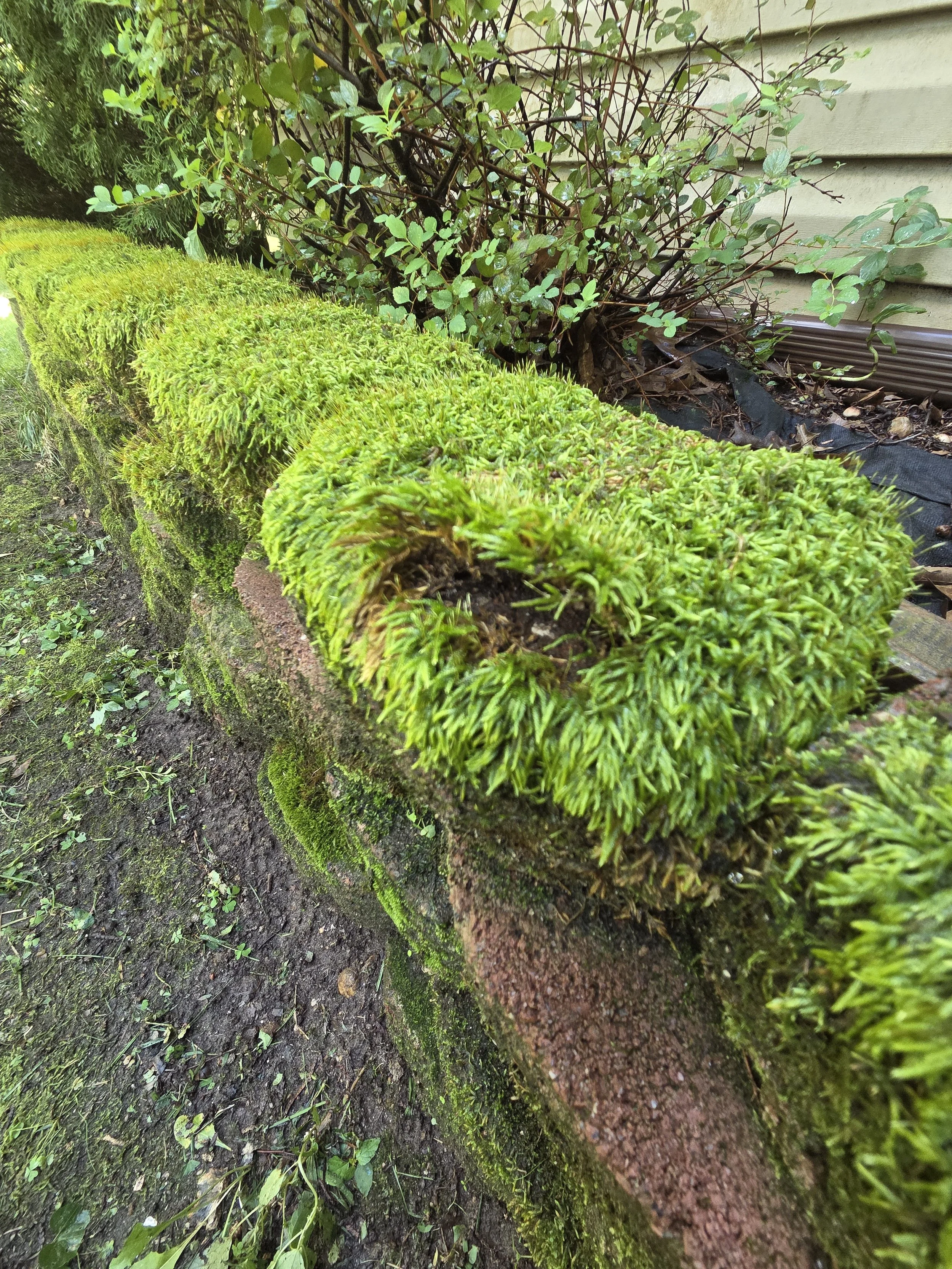 RetainingWall_Before_B7.jpg