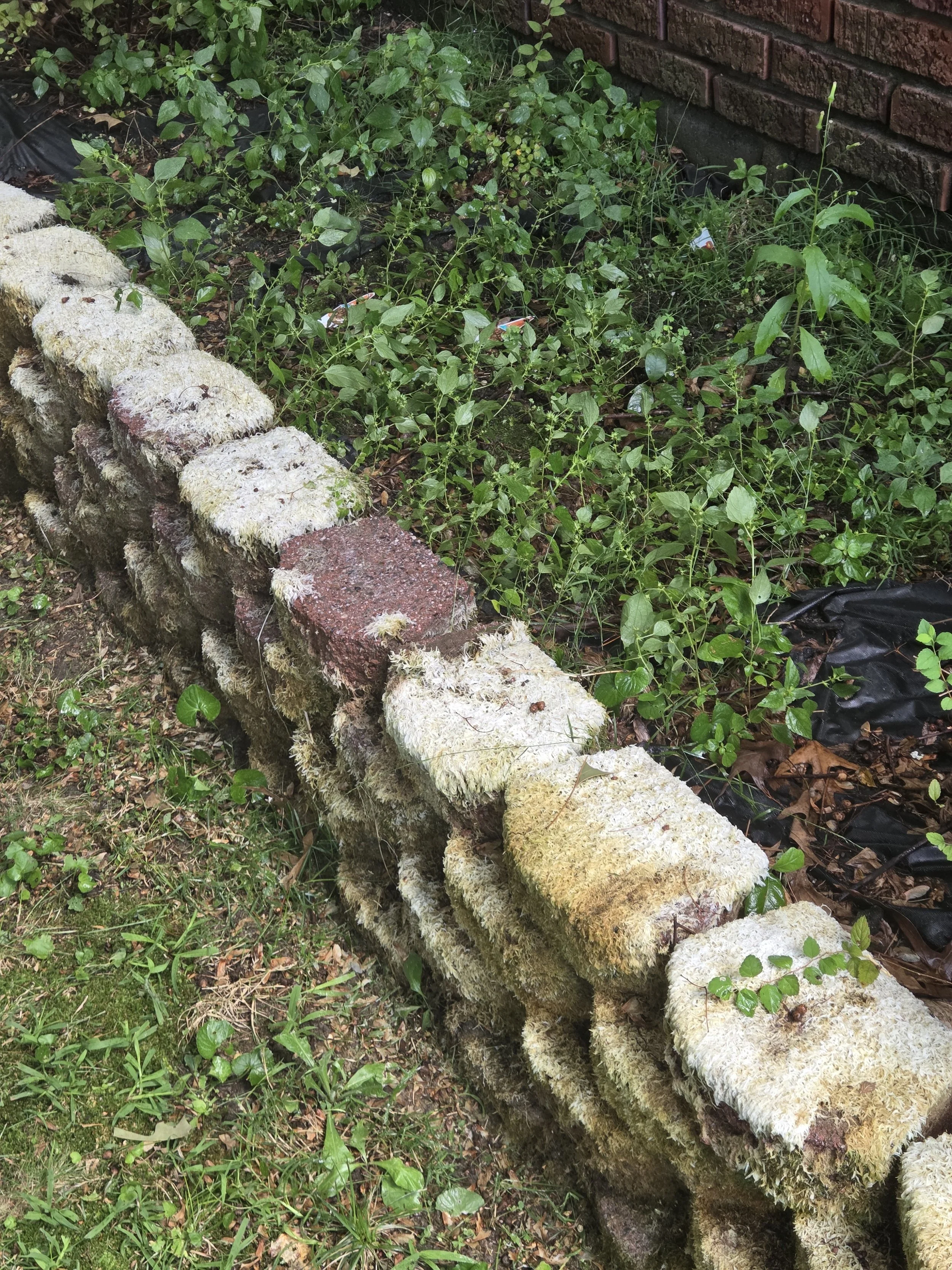 RetainingWall_During_D2.jpg