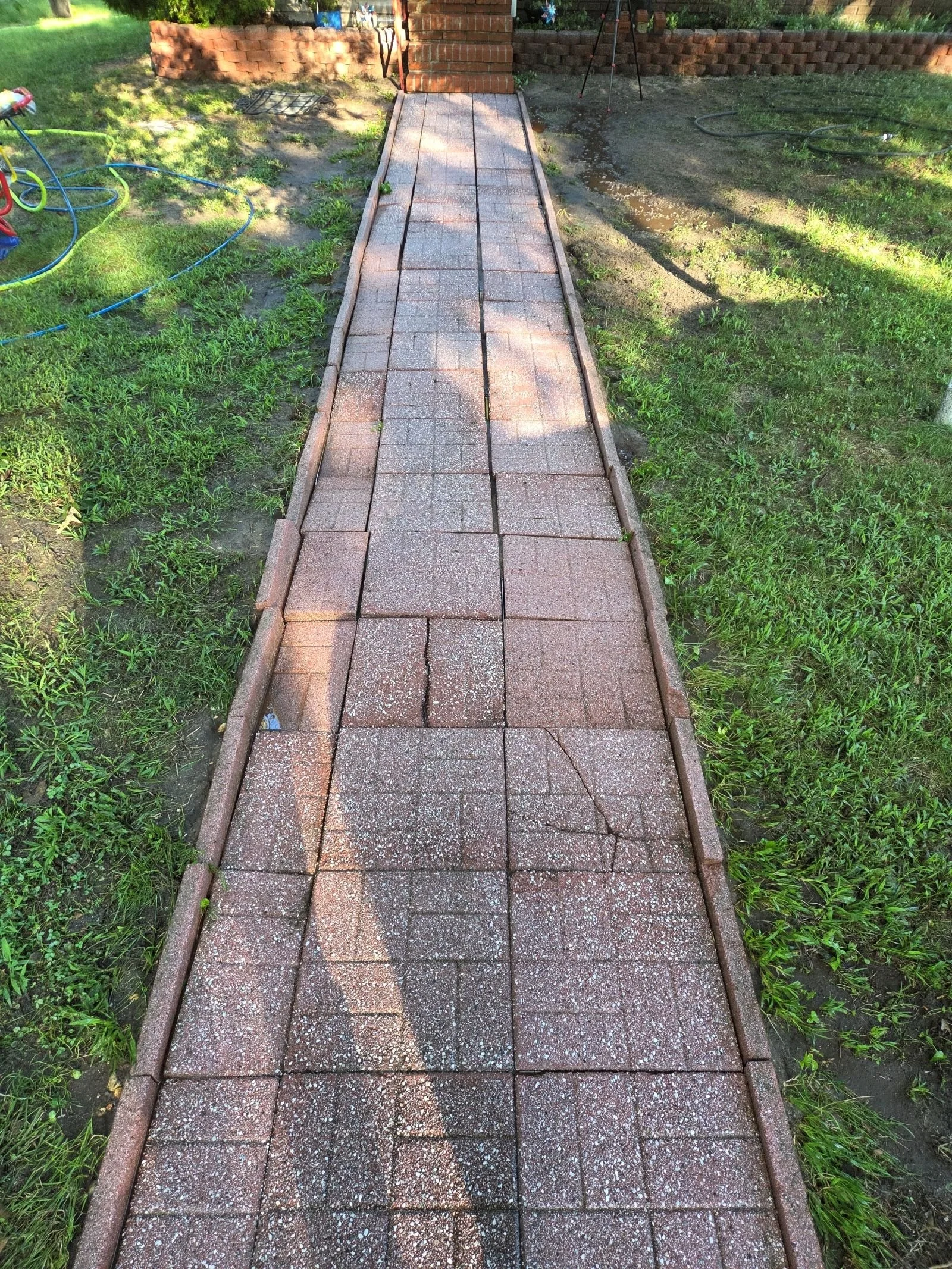 Walkway after cleaning showing brightened pavers and cleared joints