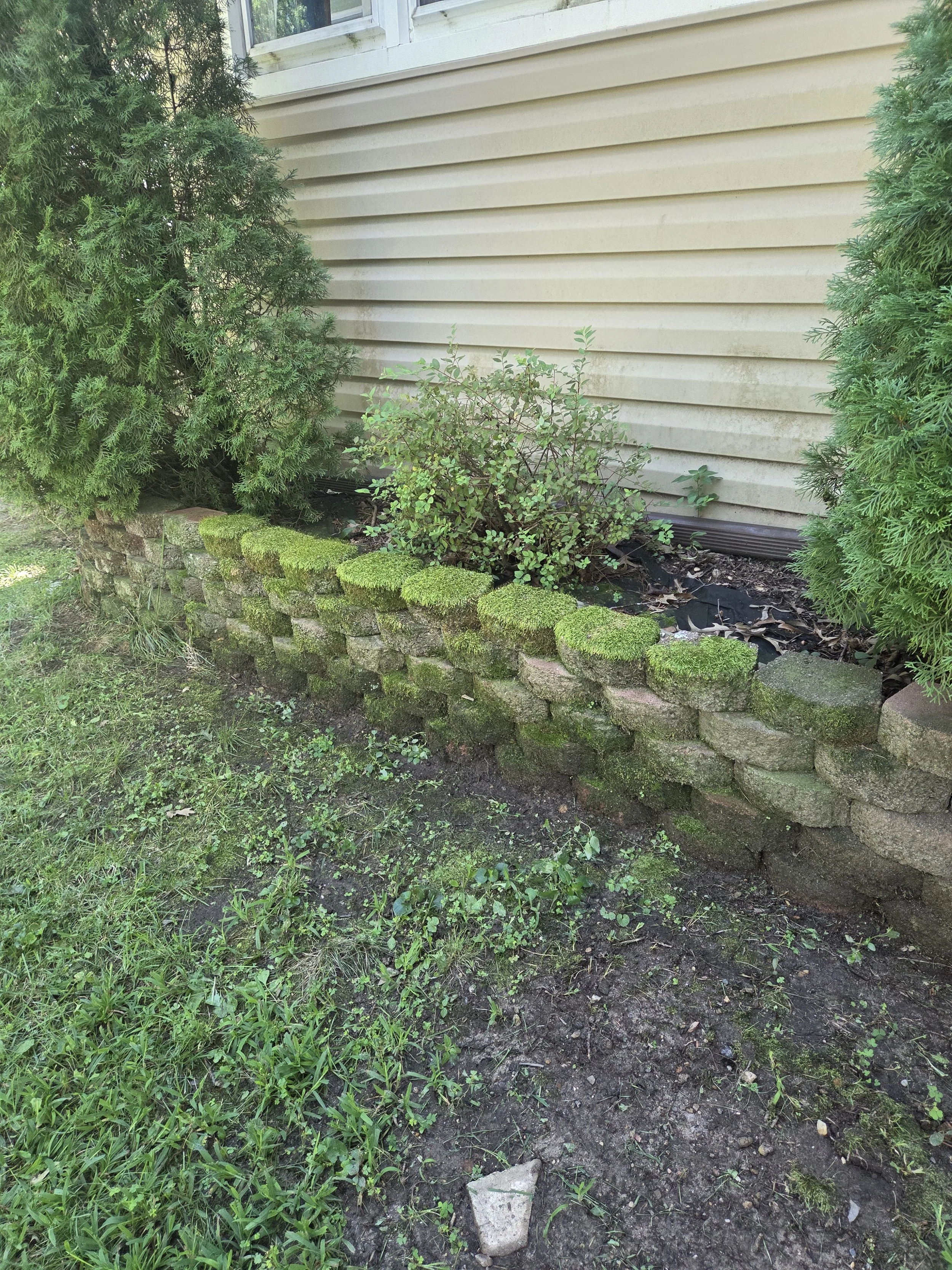 RetainingWall_Before_B4.jpg