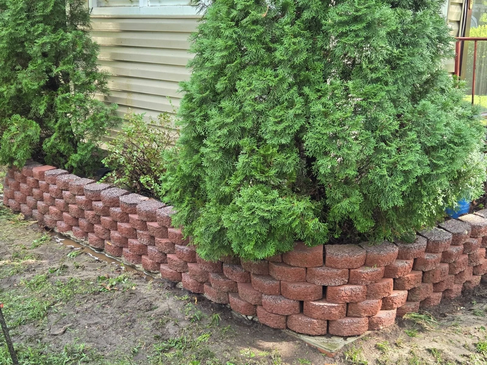 Retaining wall after professional cleaning with moss removed and restored block color