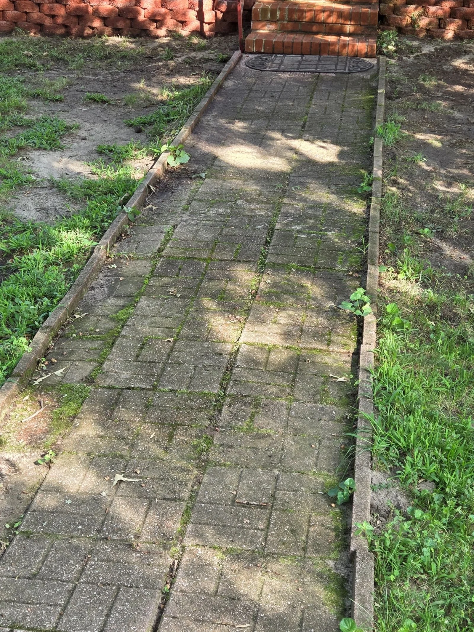 Walkway before cleaning with moss and grime buildup between paver joints