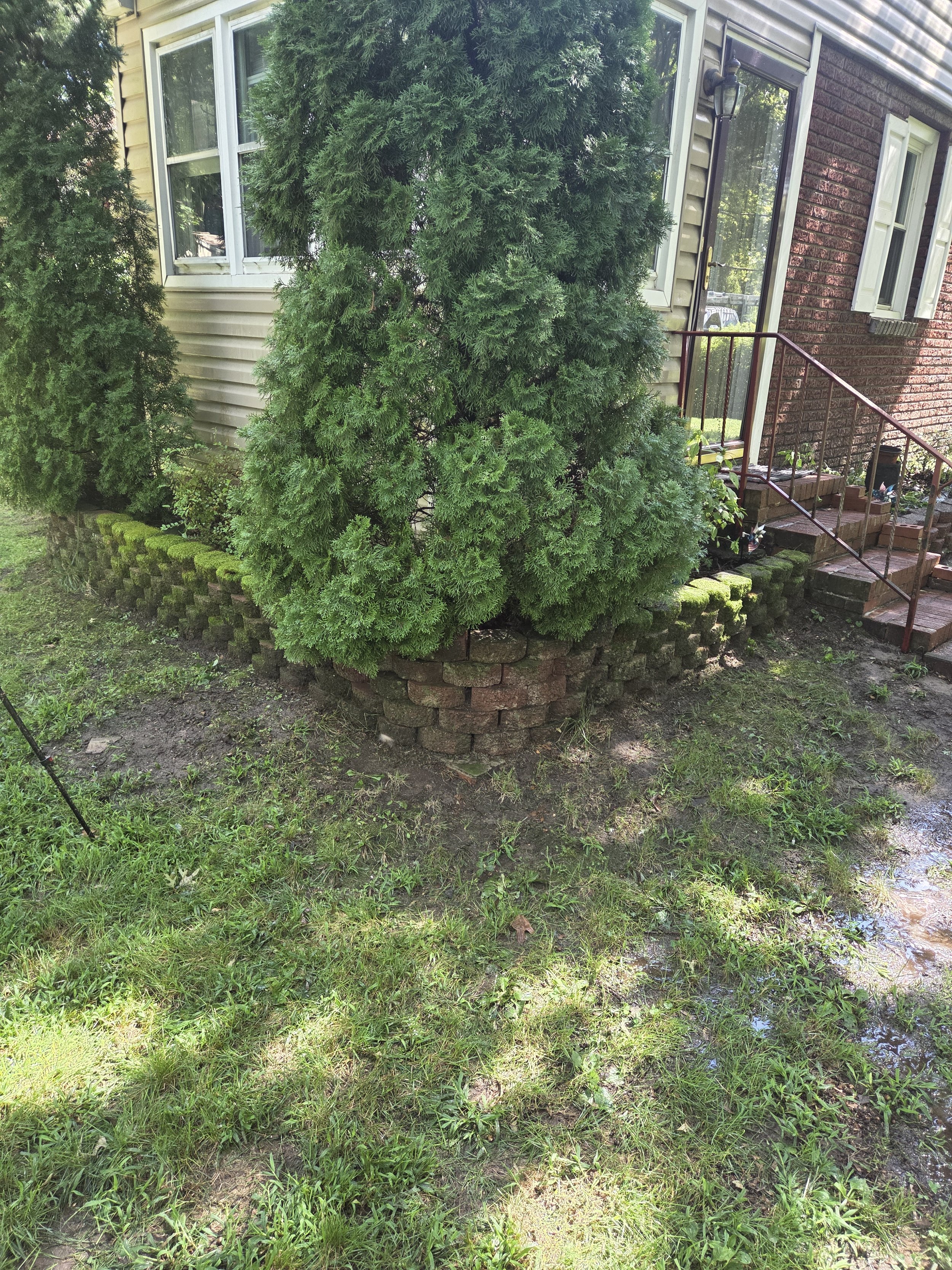 Retaining wall before cleaning with heavy moss buildup at corner of home in Williamstown NJ