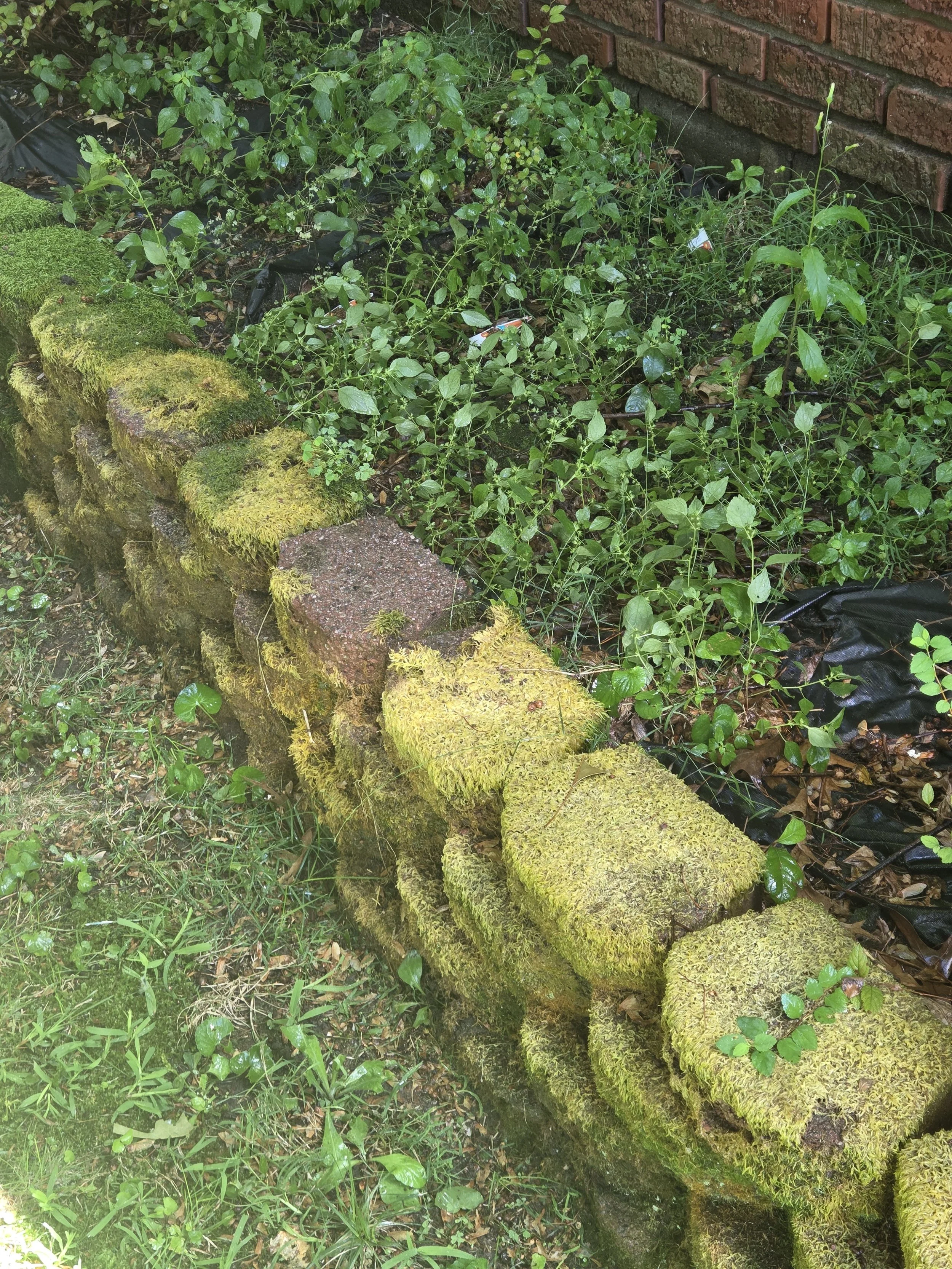 RetainingWall_During_D1.jpg