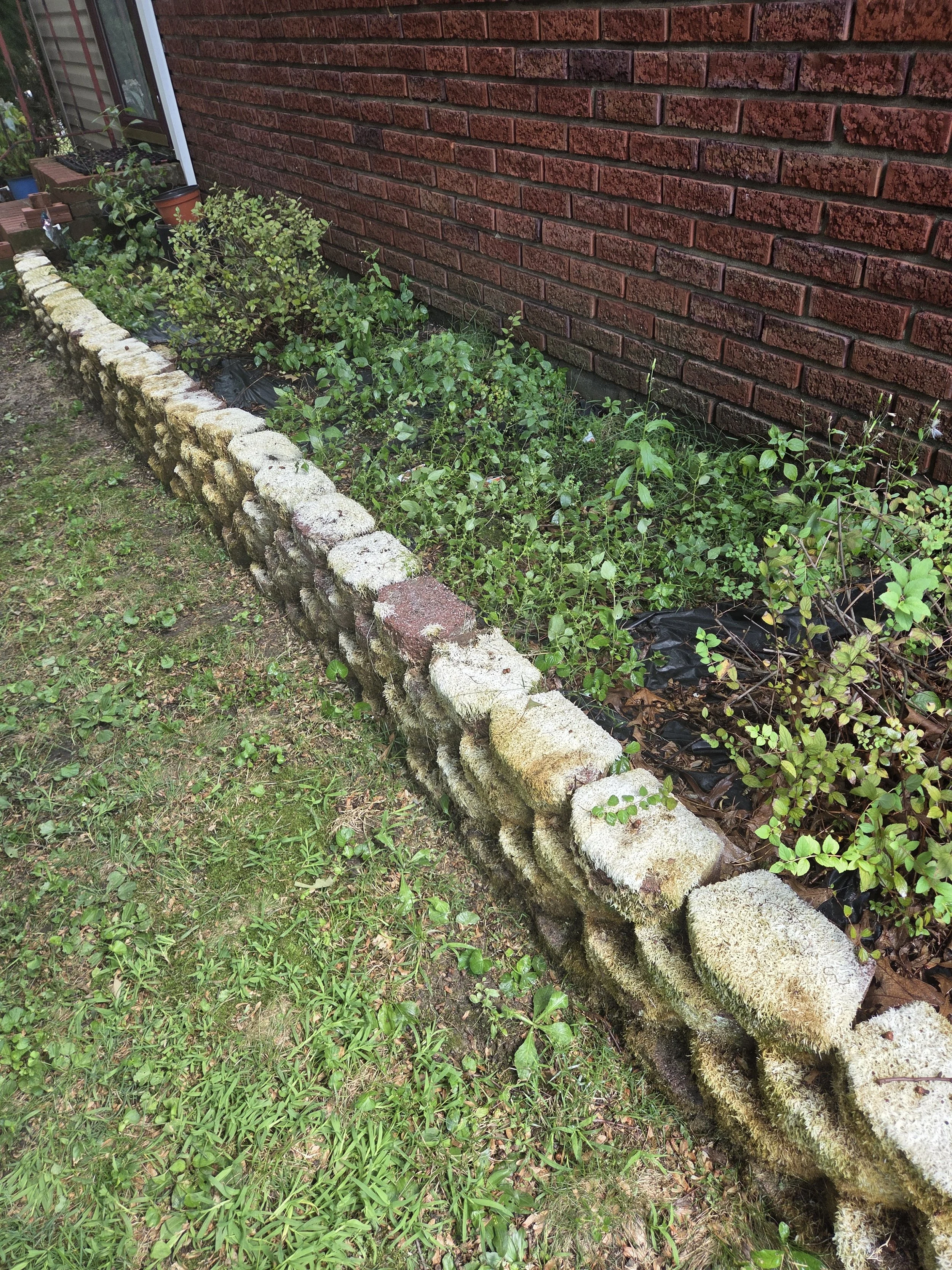 RetainingWall_During_D3.jpg