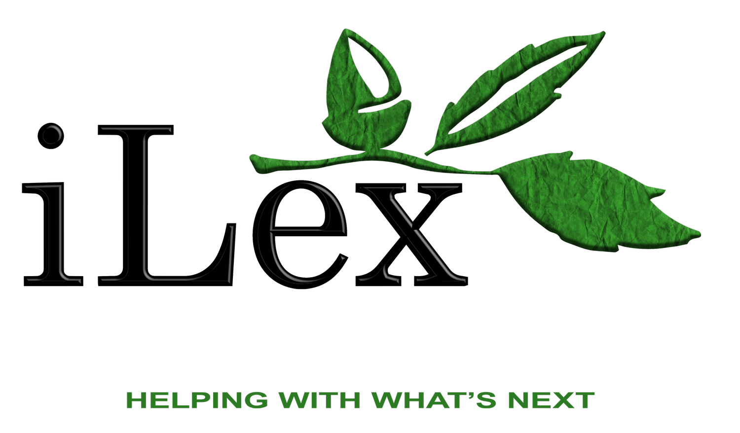 iLex Funding Group