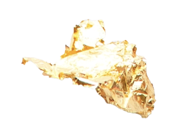 A small, clear plastic bag containing a large amount of gold-colored nugget.