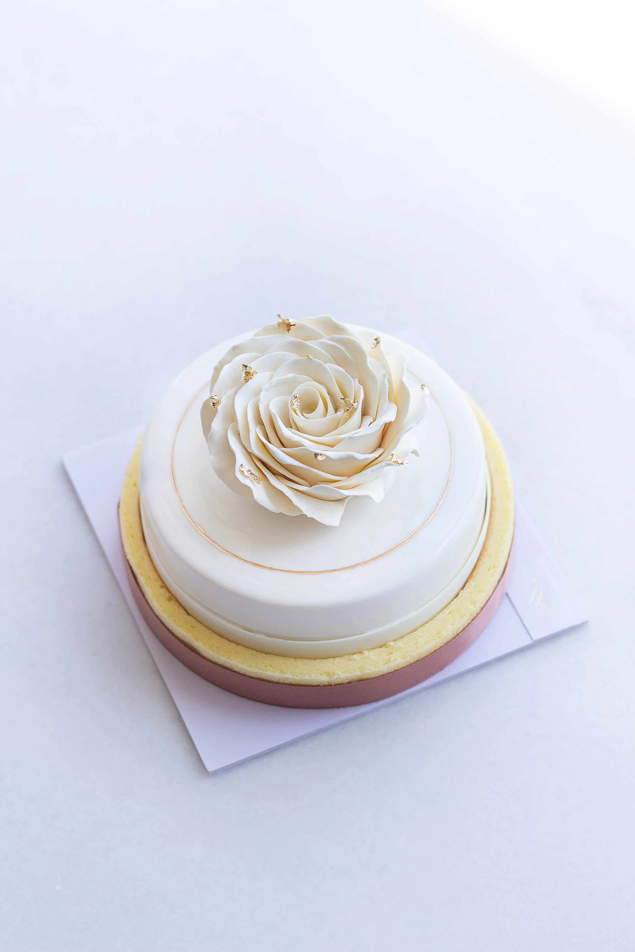 Rose Bloom White