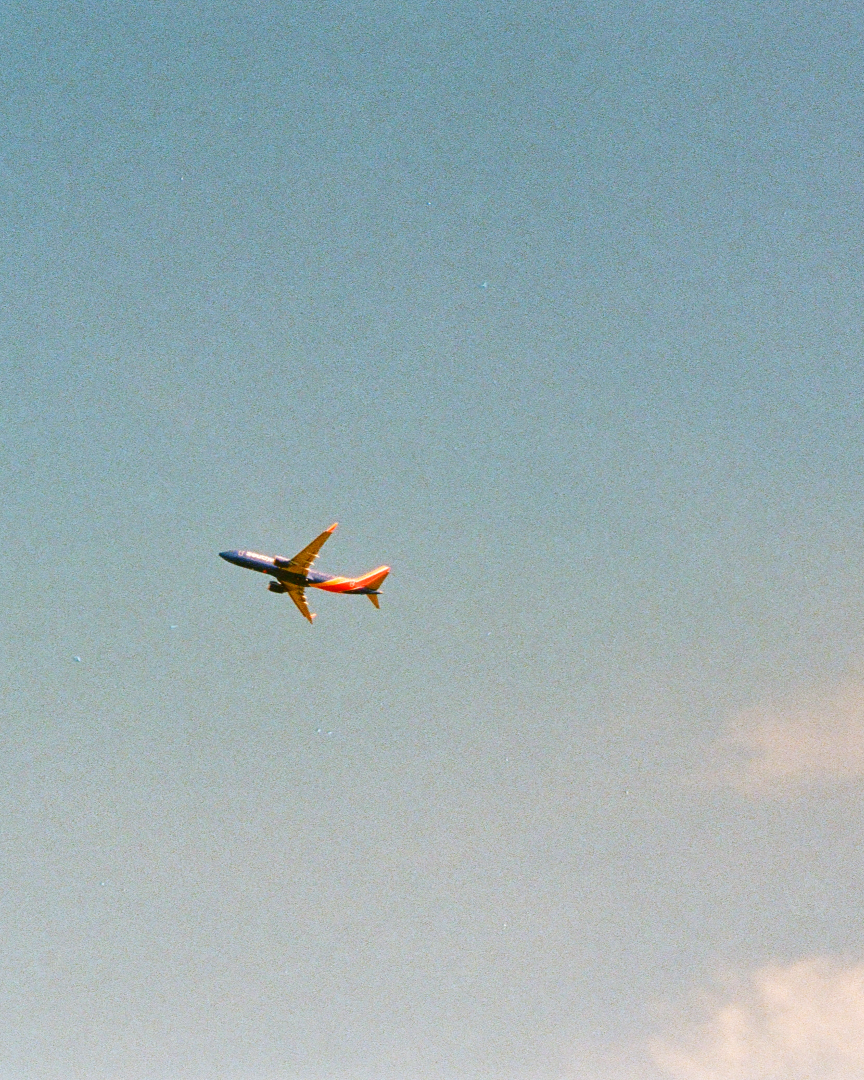 soar