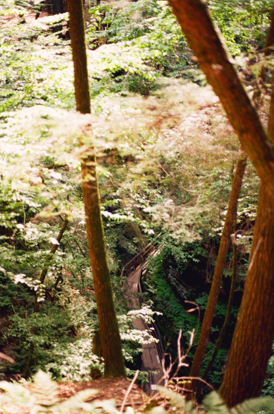 paths of the dead