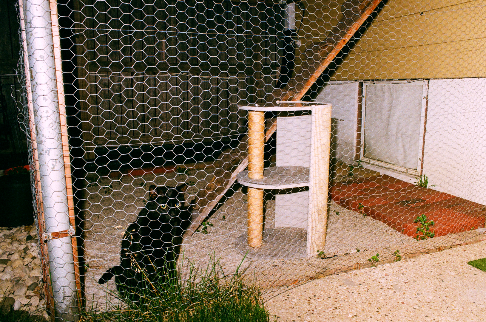 behind the wire
