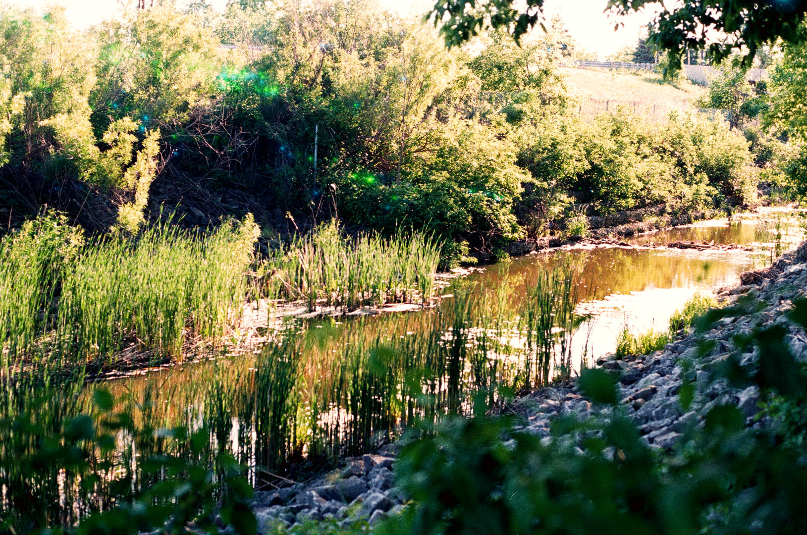 stream at the edge of town