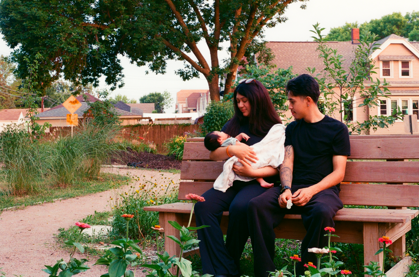 in the golden garden
