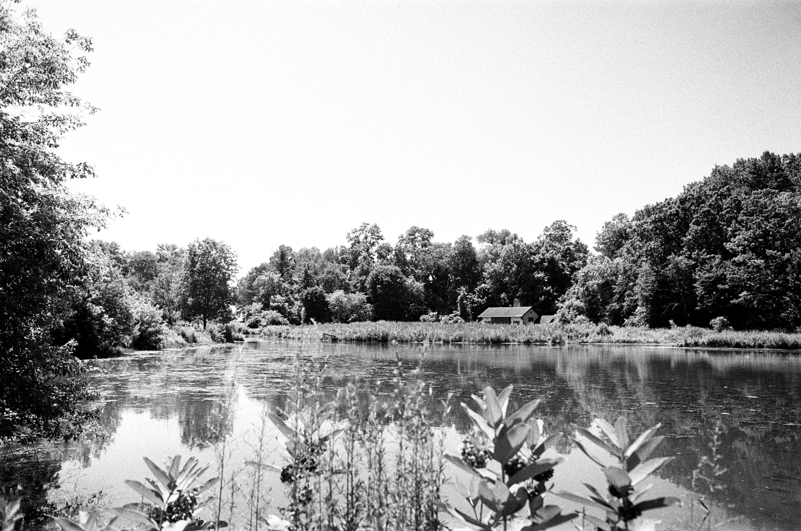 the moat