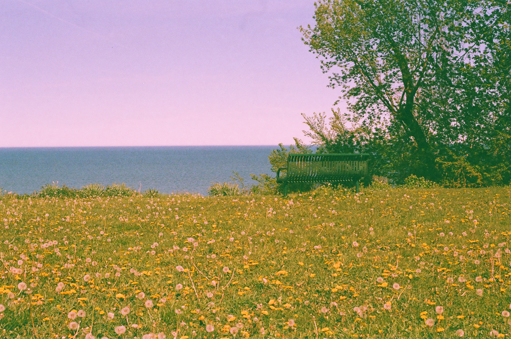 daydream