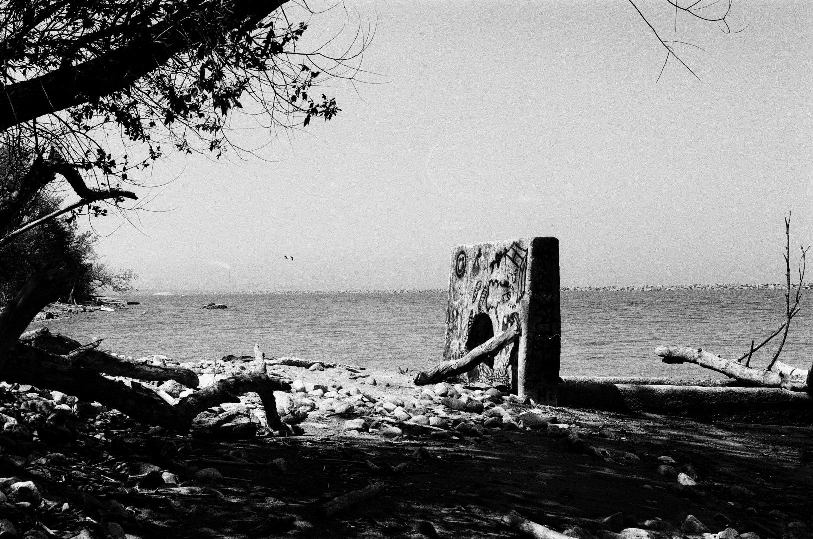 monolith & gull