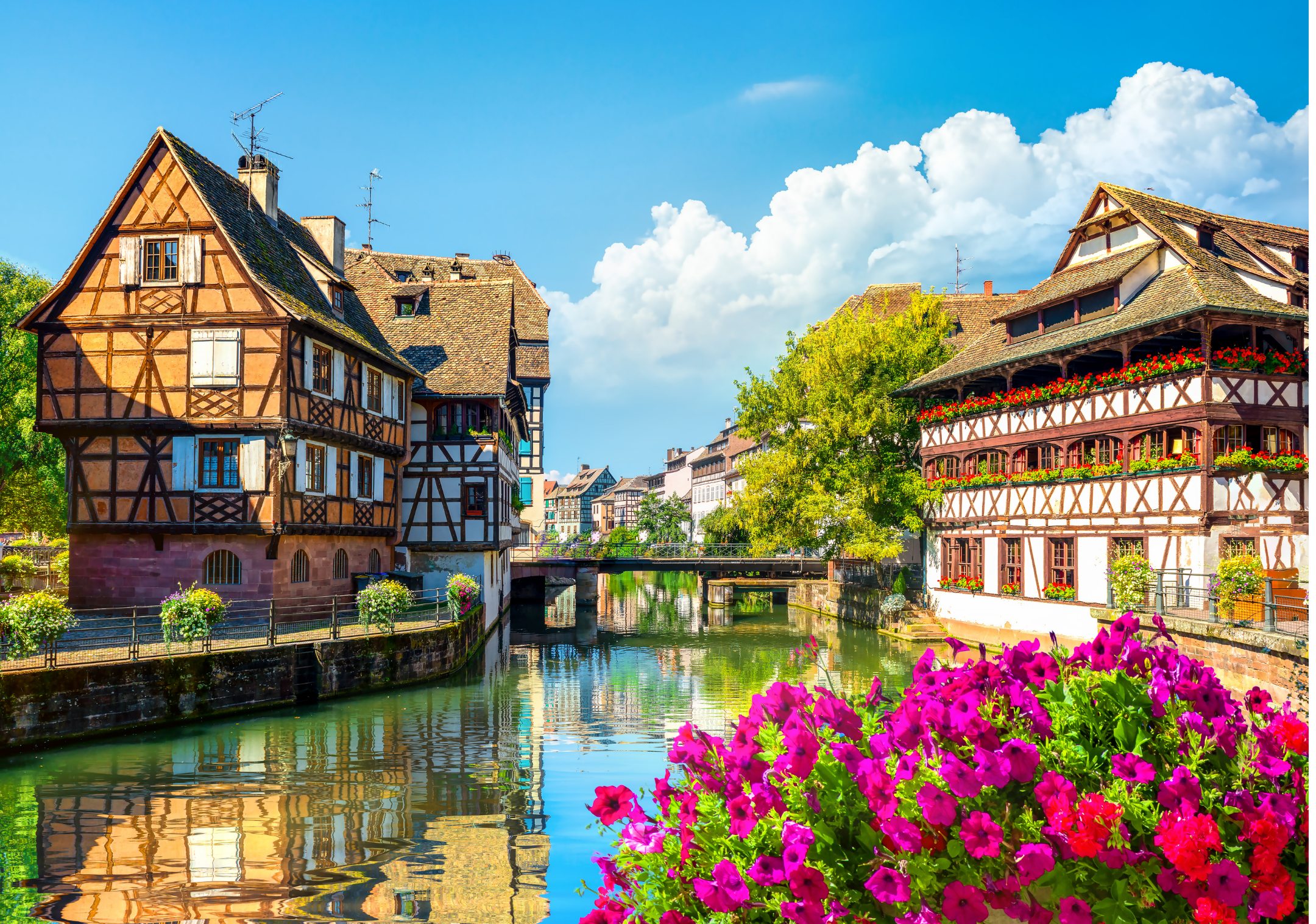 Old world charm; European storybook houses lining a river.