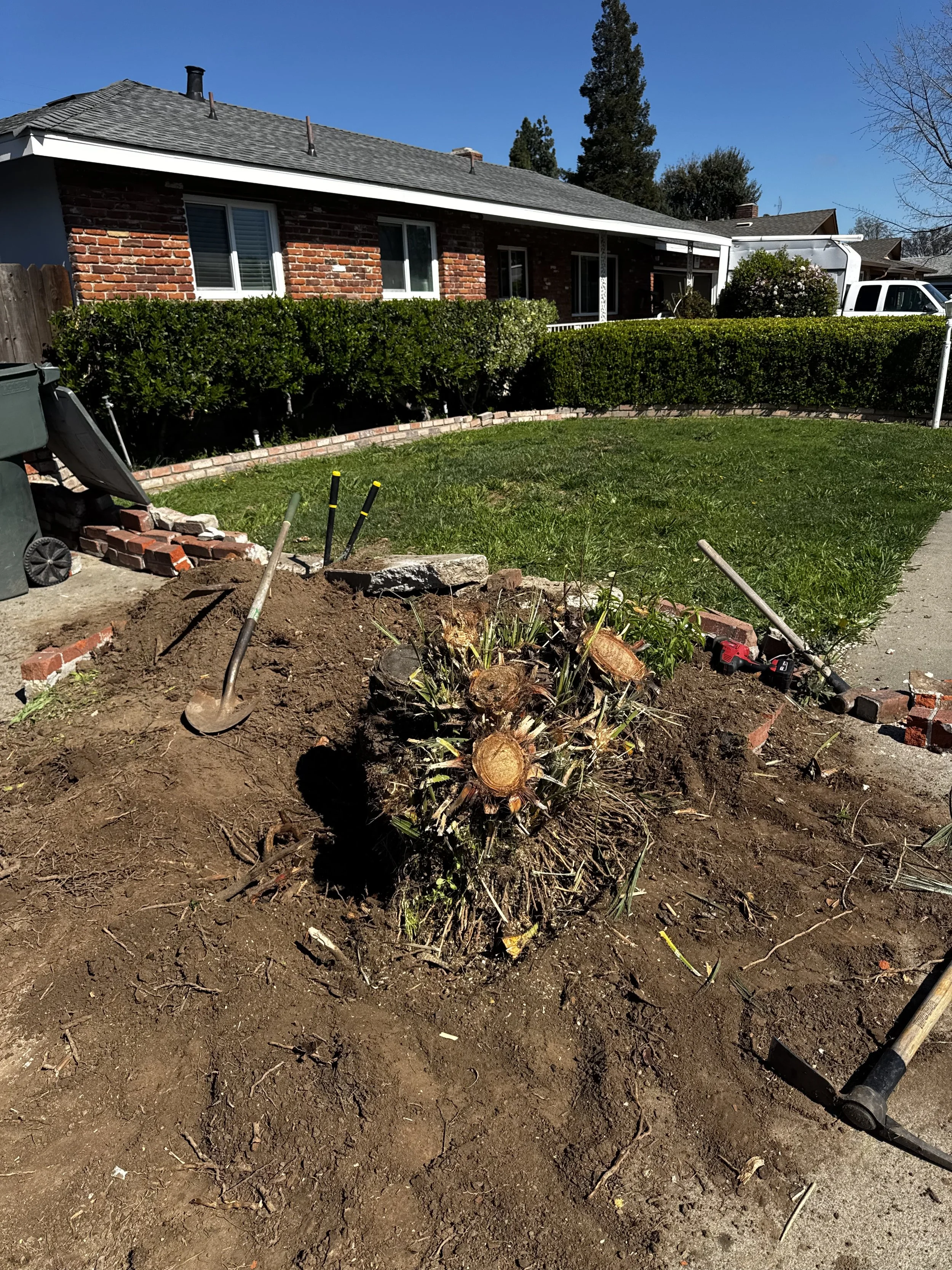 Stump Removal