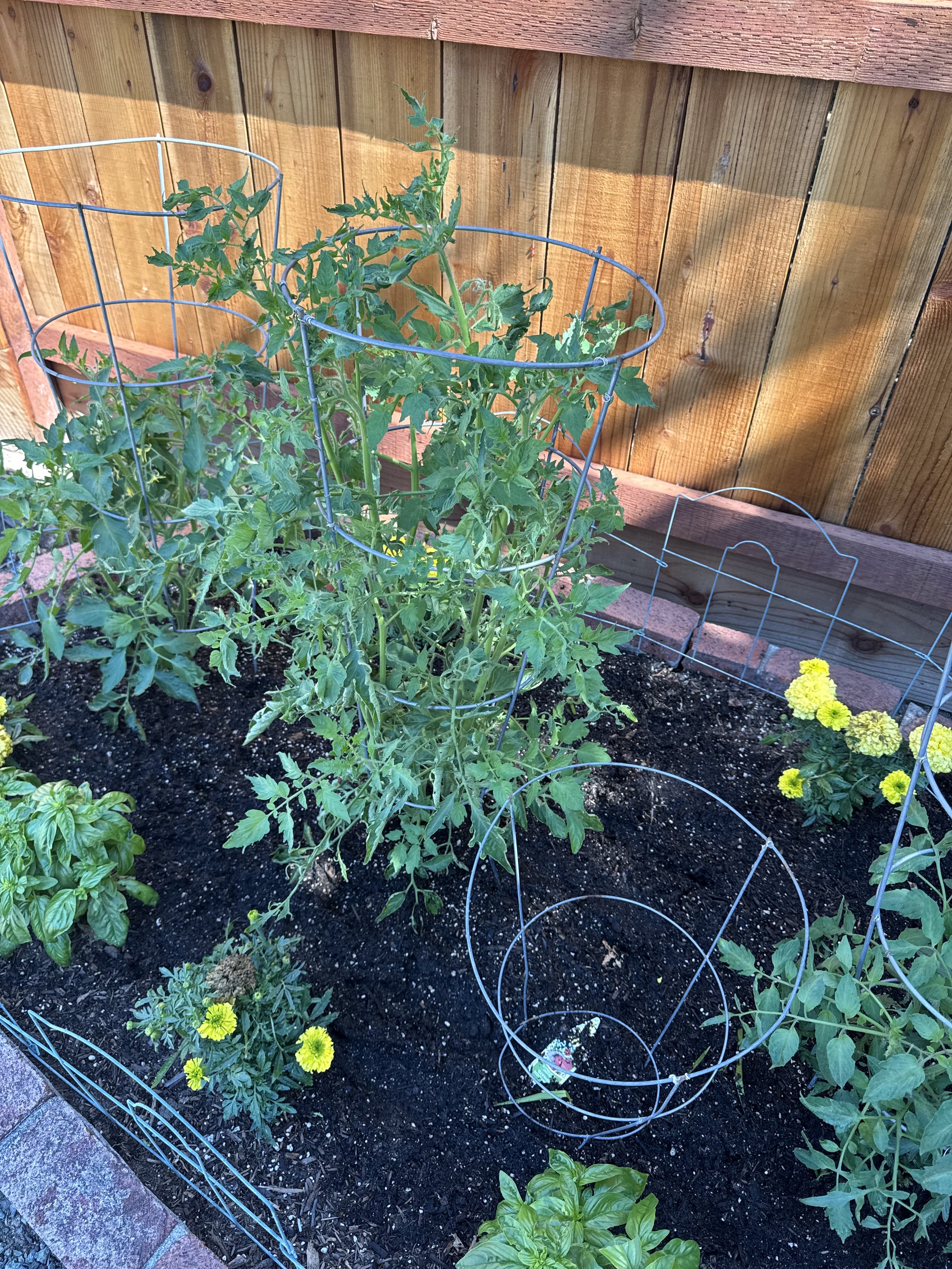 Gardening