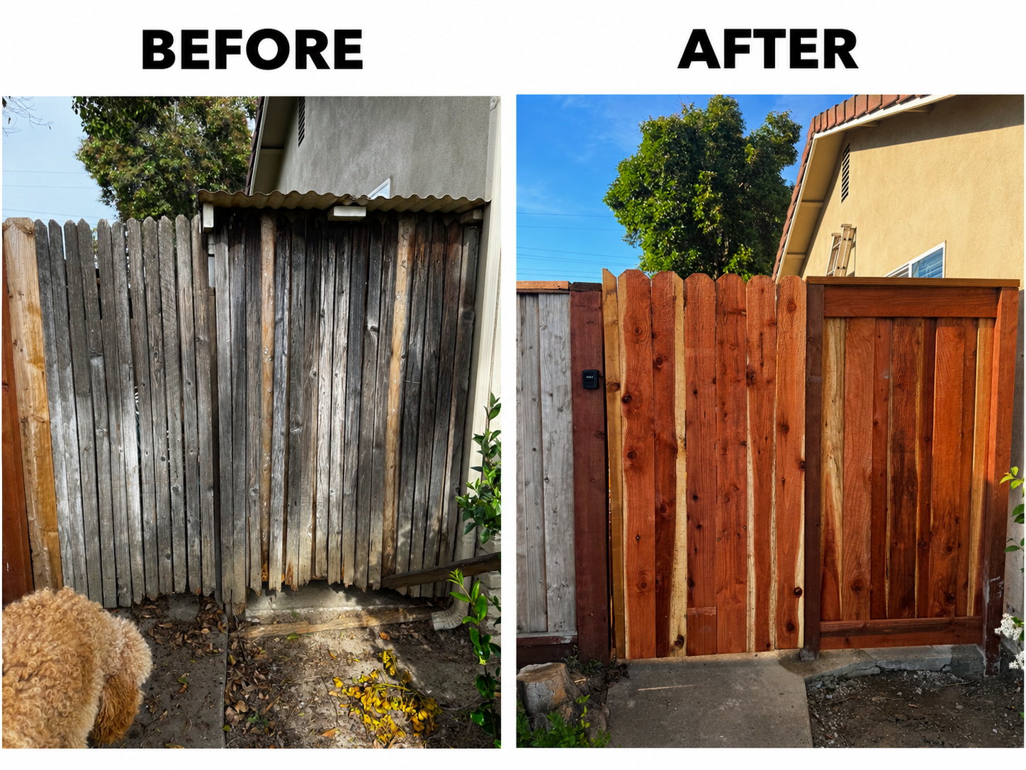 Fence Restoration_ Before and After.png