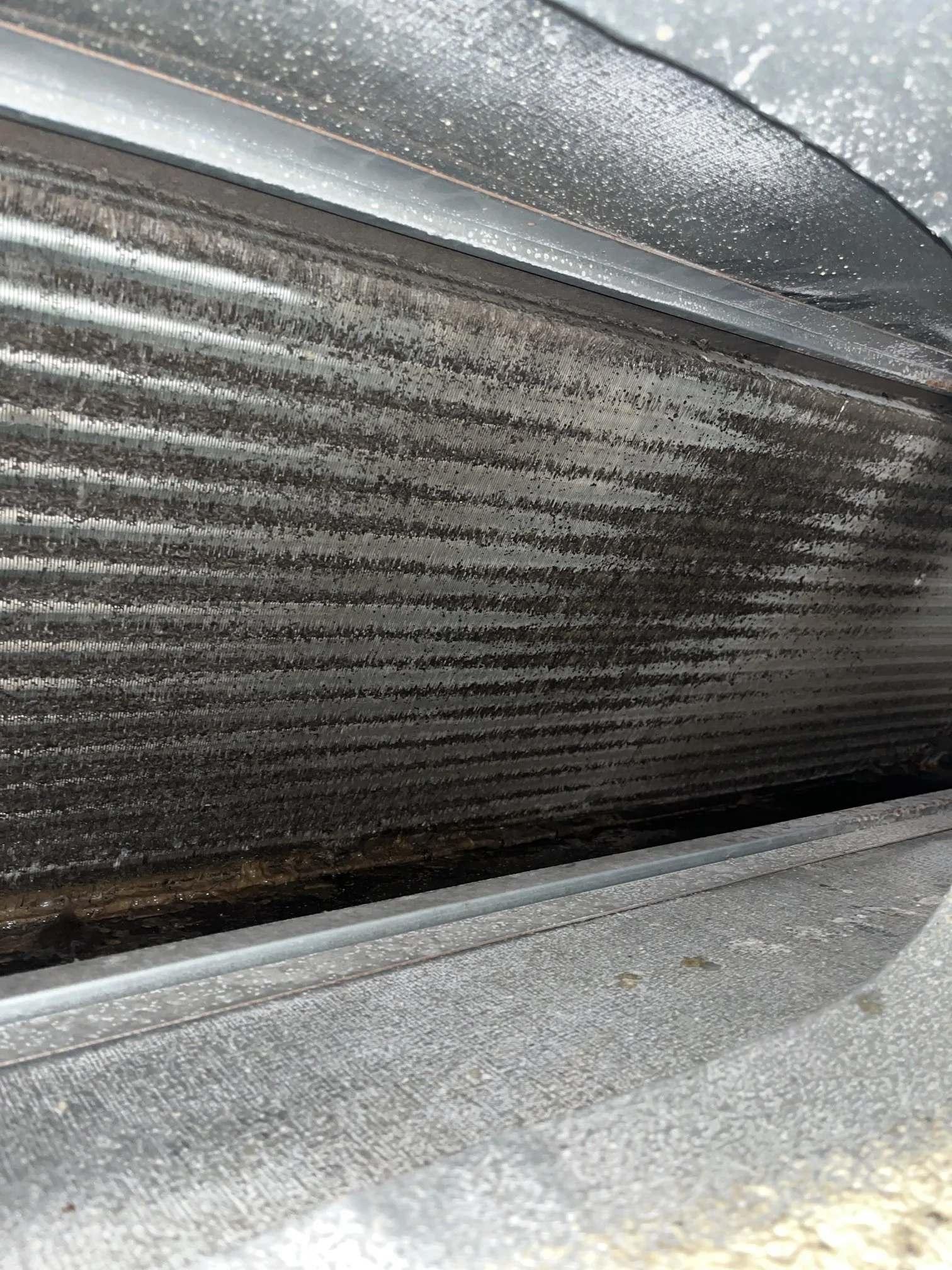 a photo showing the indoor coil on a ducted AC covered with mould