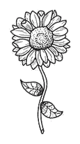 popculture_24_sunflower.png