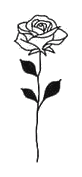 popculture_27_rose.png