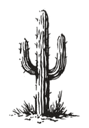 western_34_cactus.png