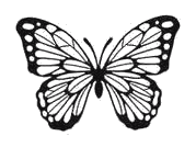 popculture_04_butterfly.png