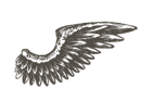 engraving_43_wing-right.png