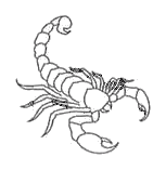 popculture_08_scorpion.png