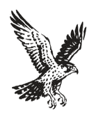 western_14_eagle.png