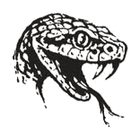 western_21_rattlesnake-head.png