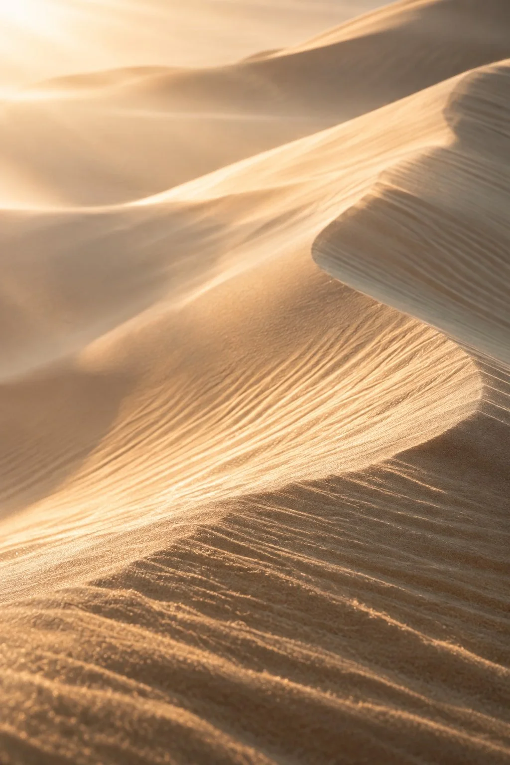 Close-up of sand dunes with rippled textures and smooth curves, illuminated by warm sunlight.