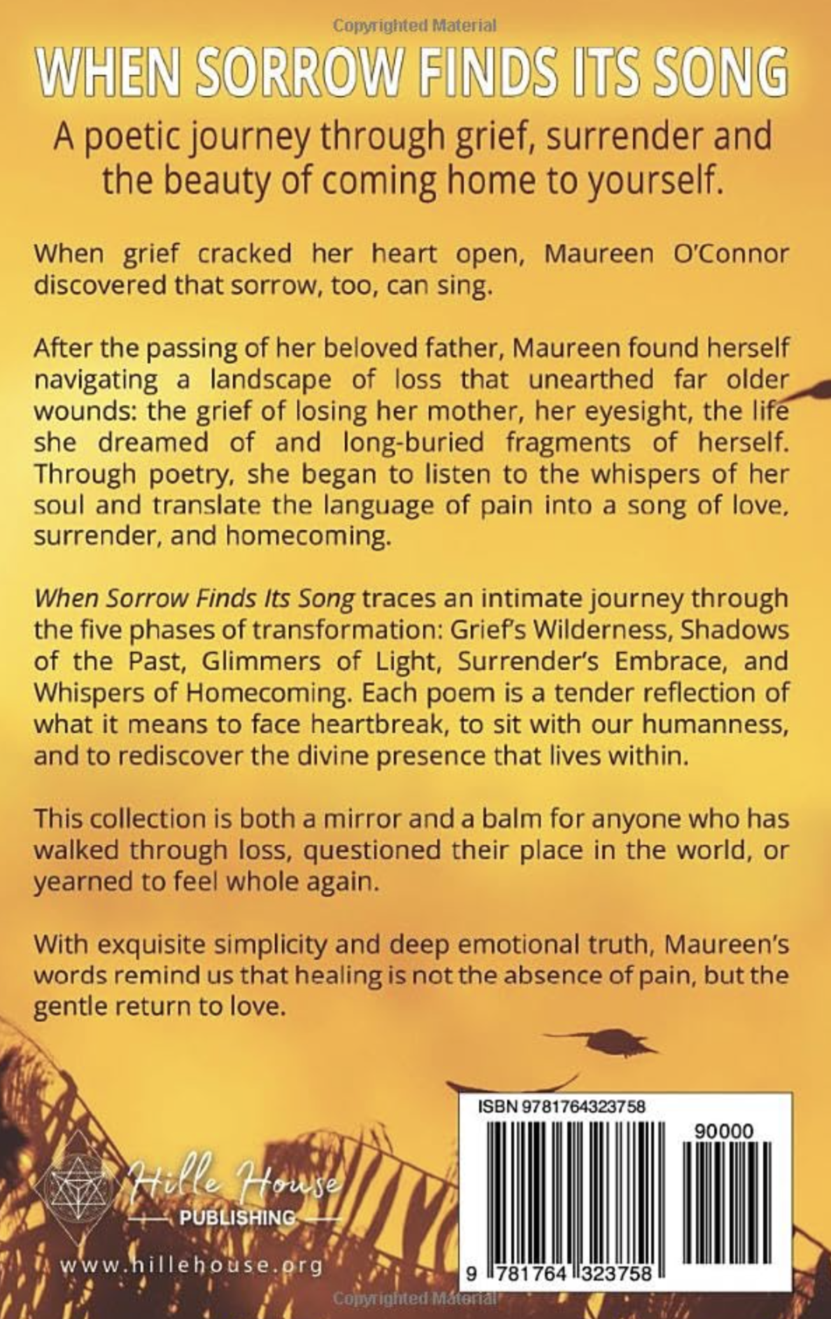 When Sorrow Finds its Song Back.png
