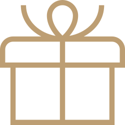 Outline of a gift box with a ribbon and bow on top