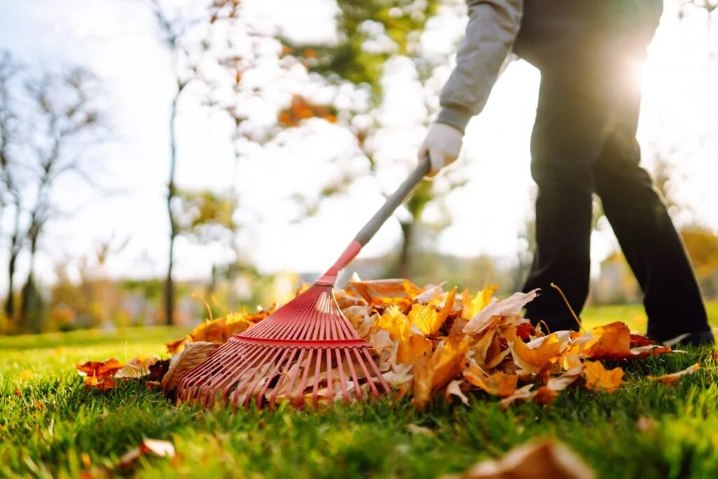 Essential Spring &amp; Fall Property Cleanups: A Surrey Homeowner’s Checklist