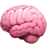 Illustration of a human brain in pink