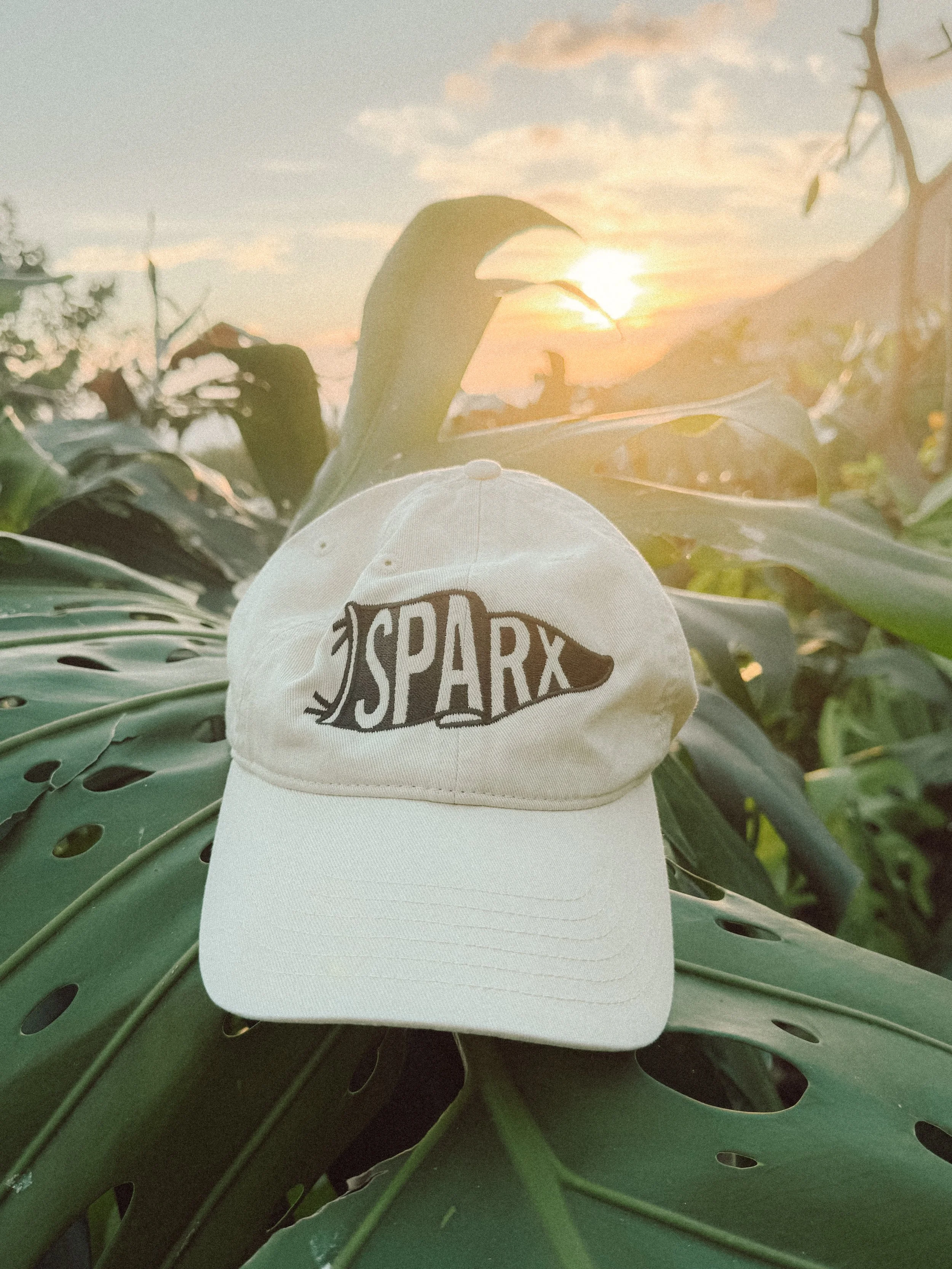 Sparx Embroidered Dad Hat