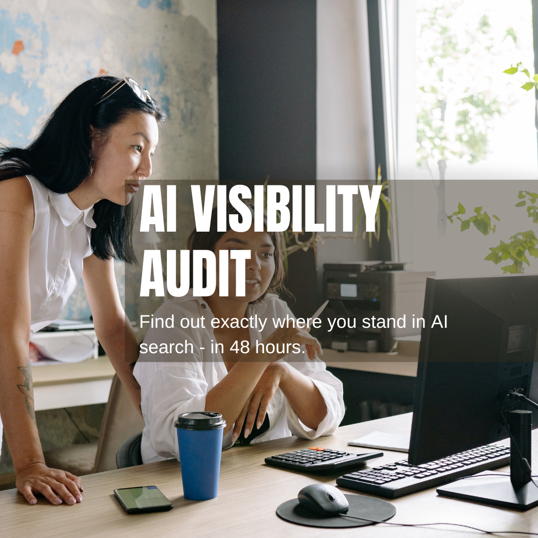 AI Visibility Audit