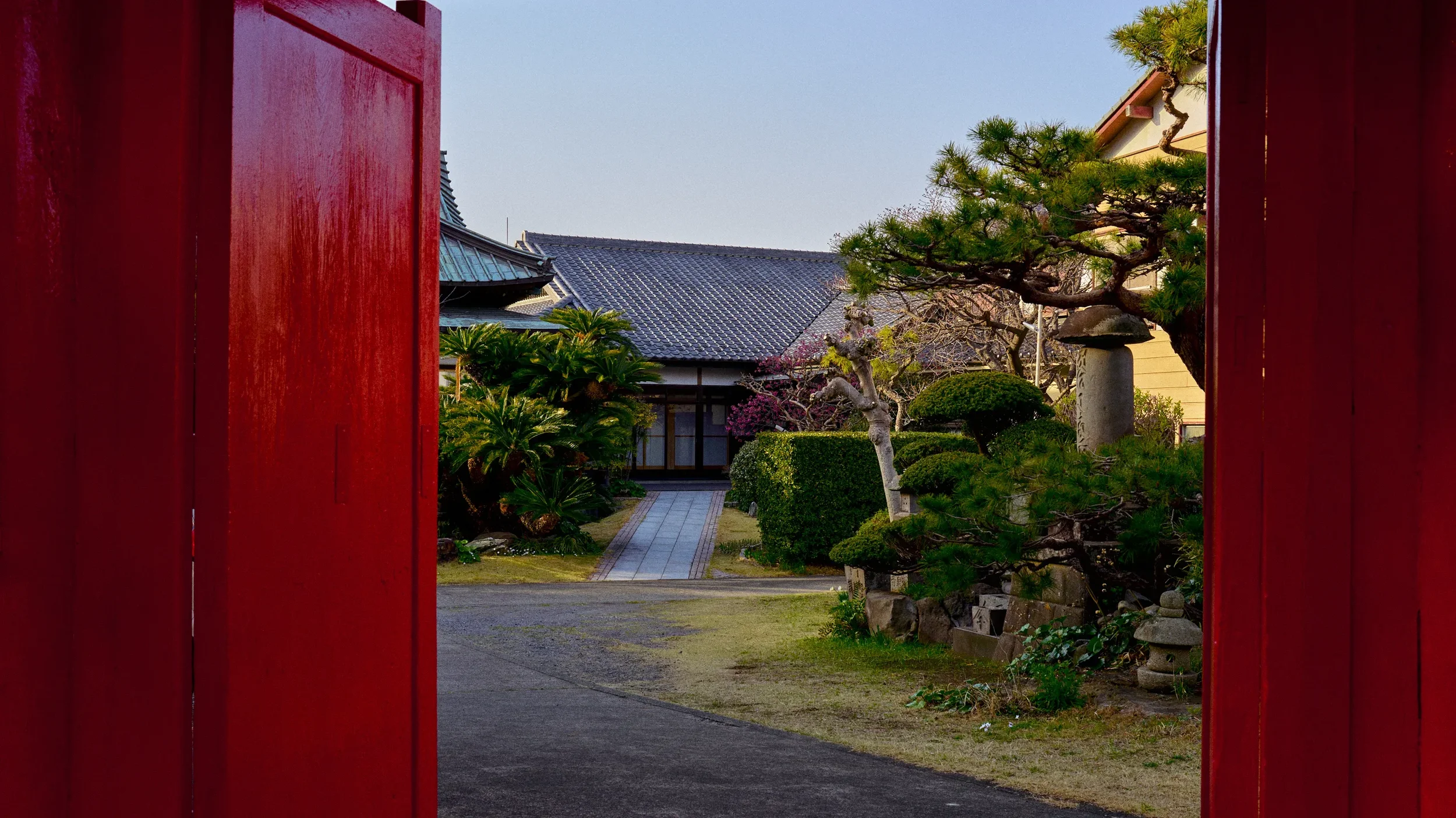 W1000296.webp
