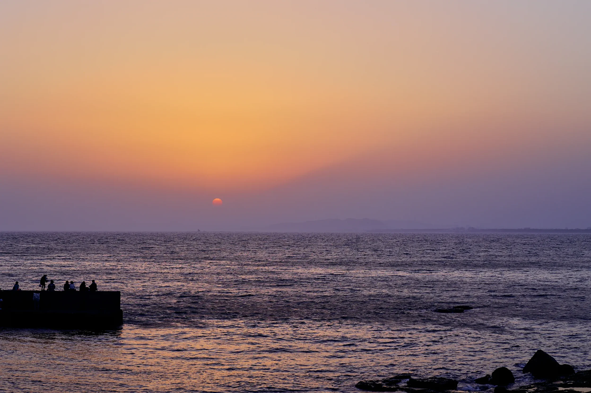 W1000352.webp
