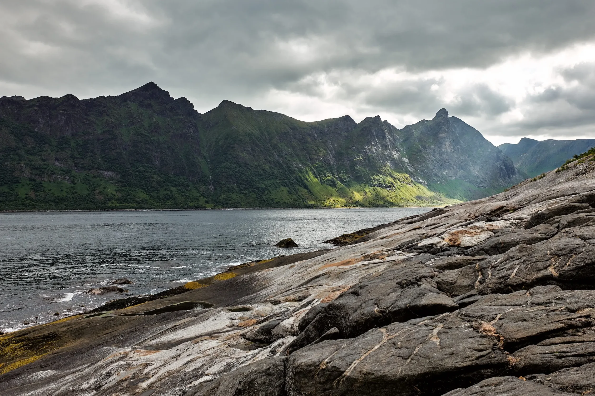 S1004946.webp