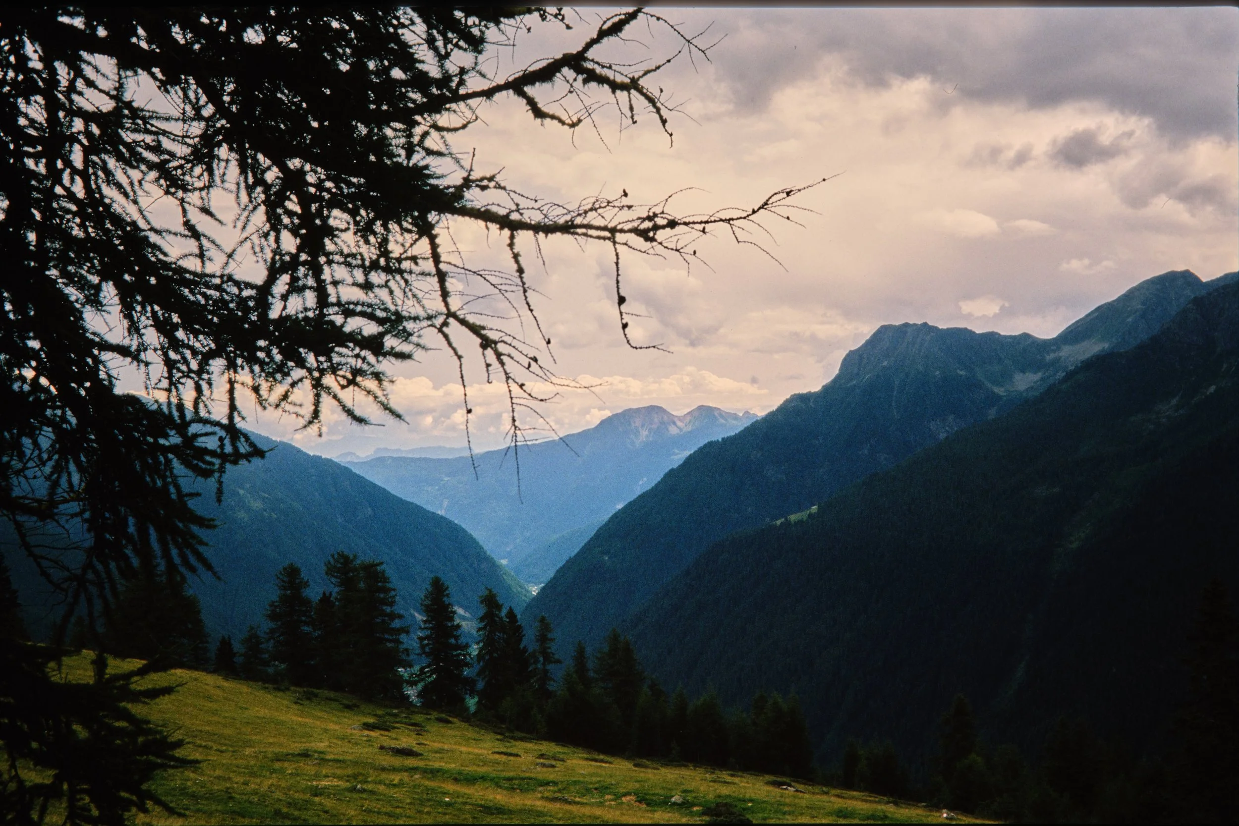 DSCF0148.jpg