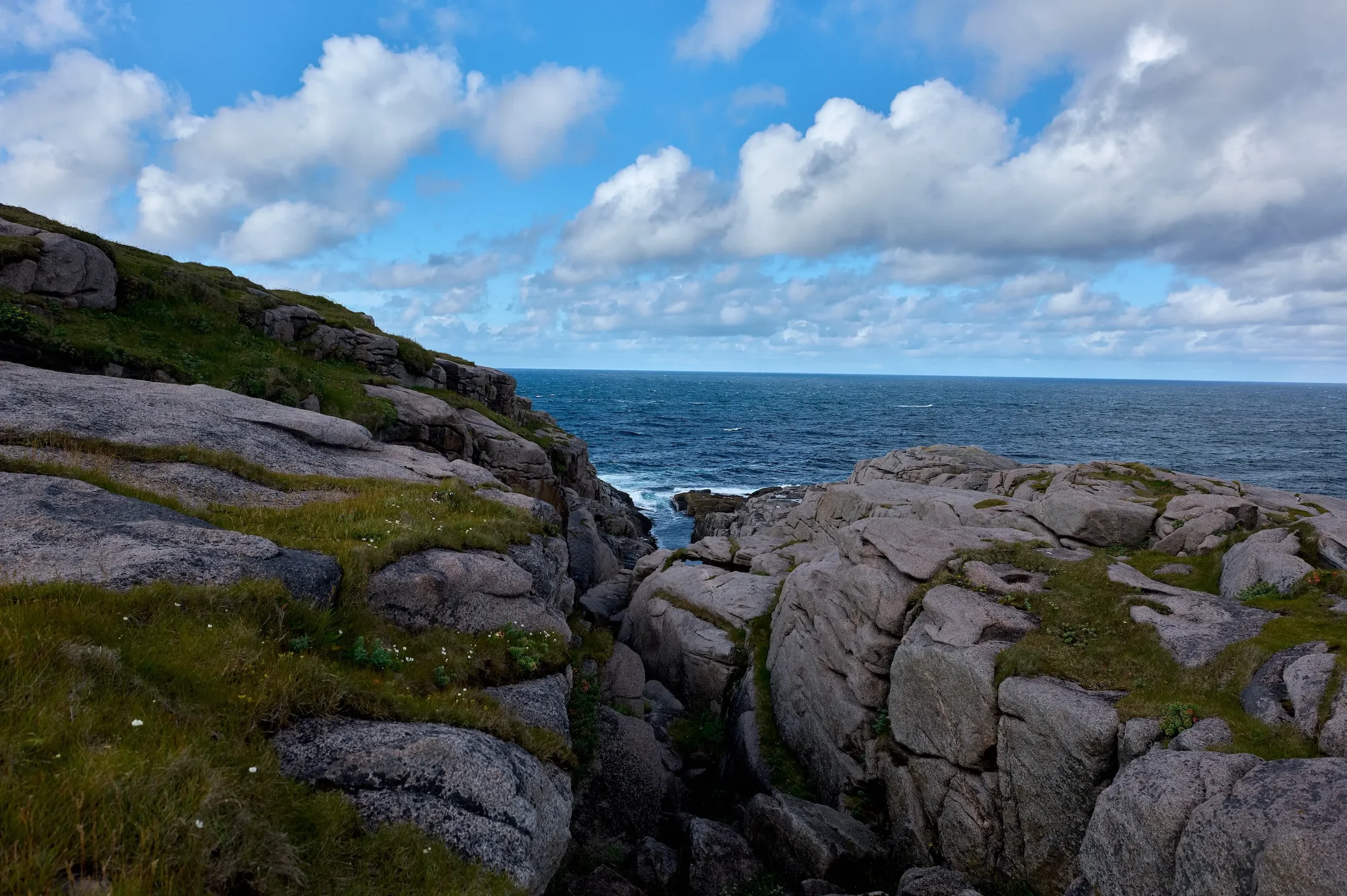S1005188.webp