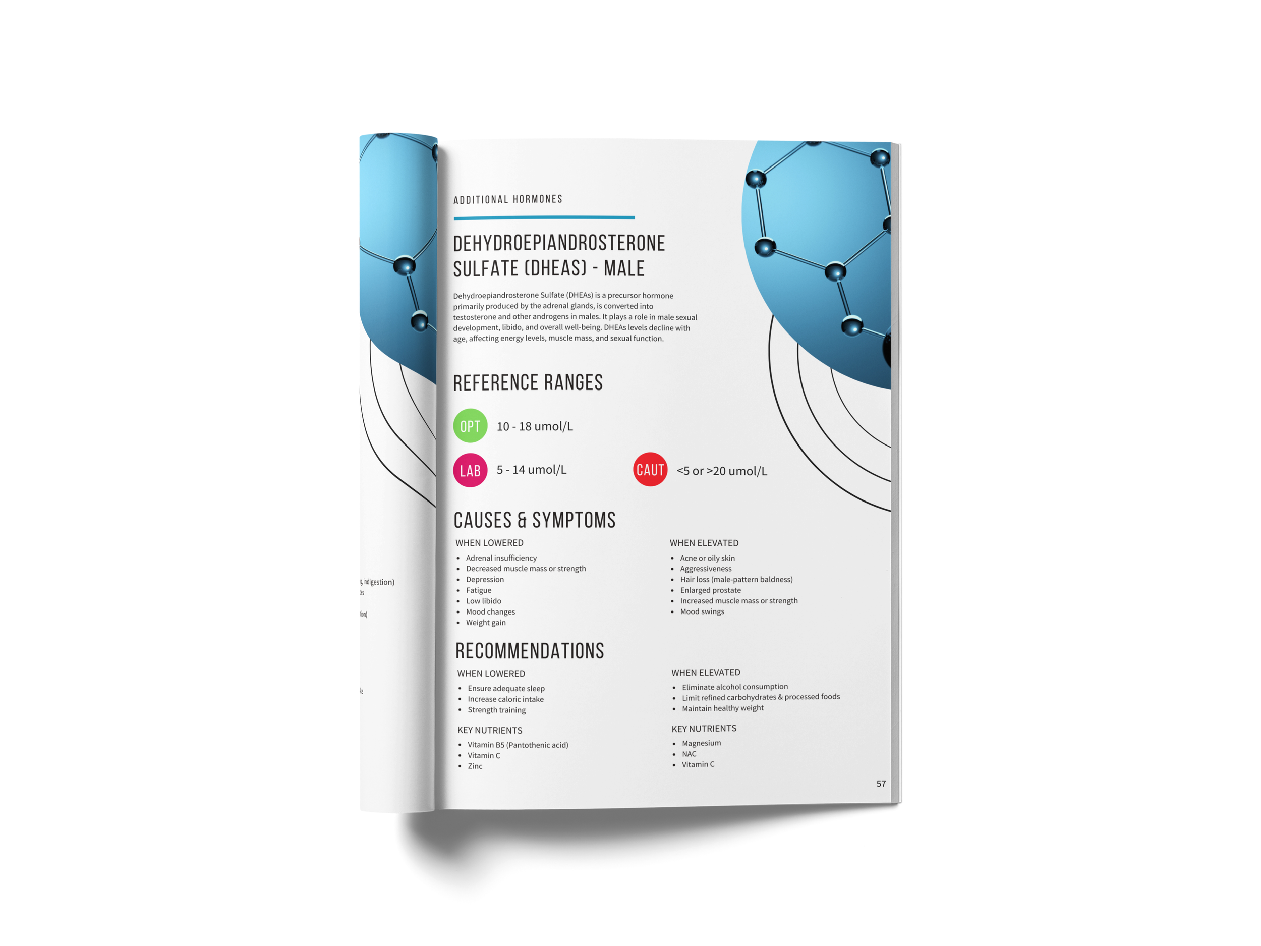magazine-mockup-curved-page-8x10-875.png