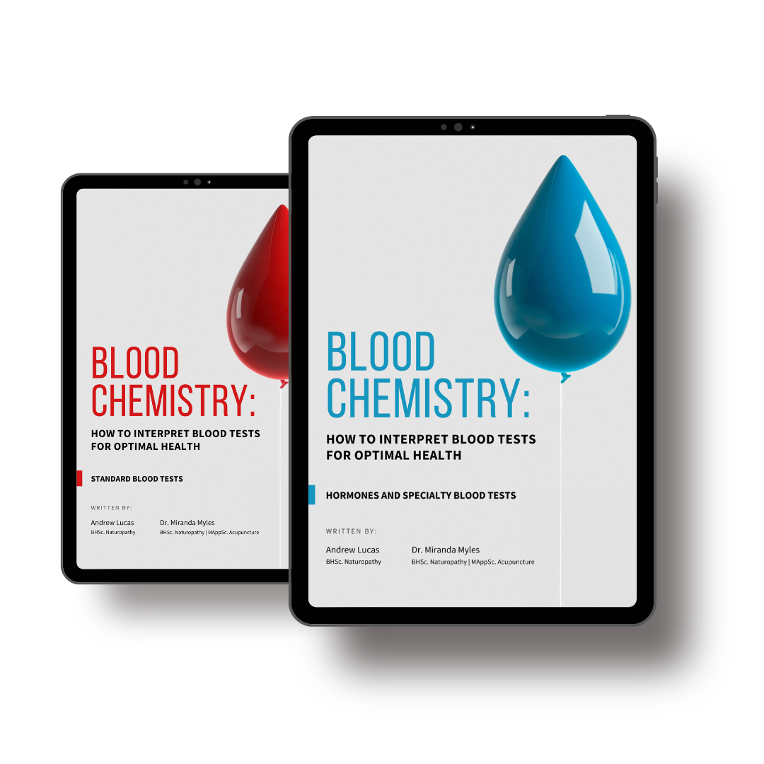 Seminar book release 1(2).png