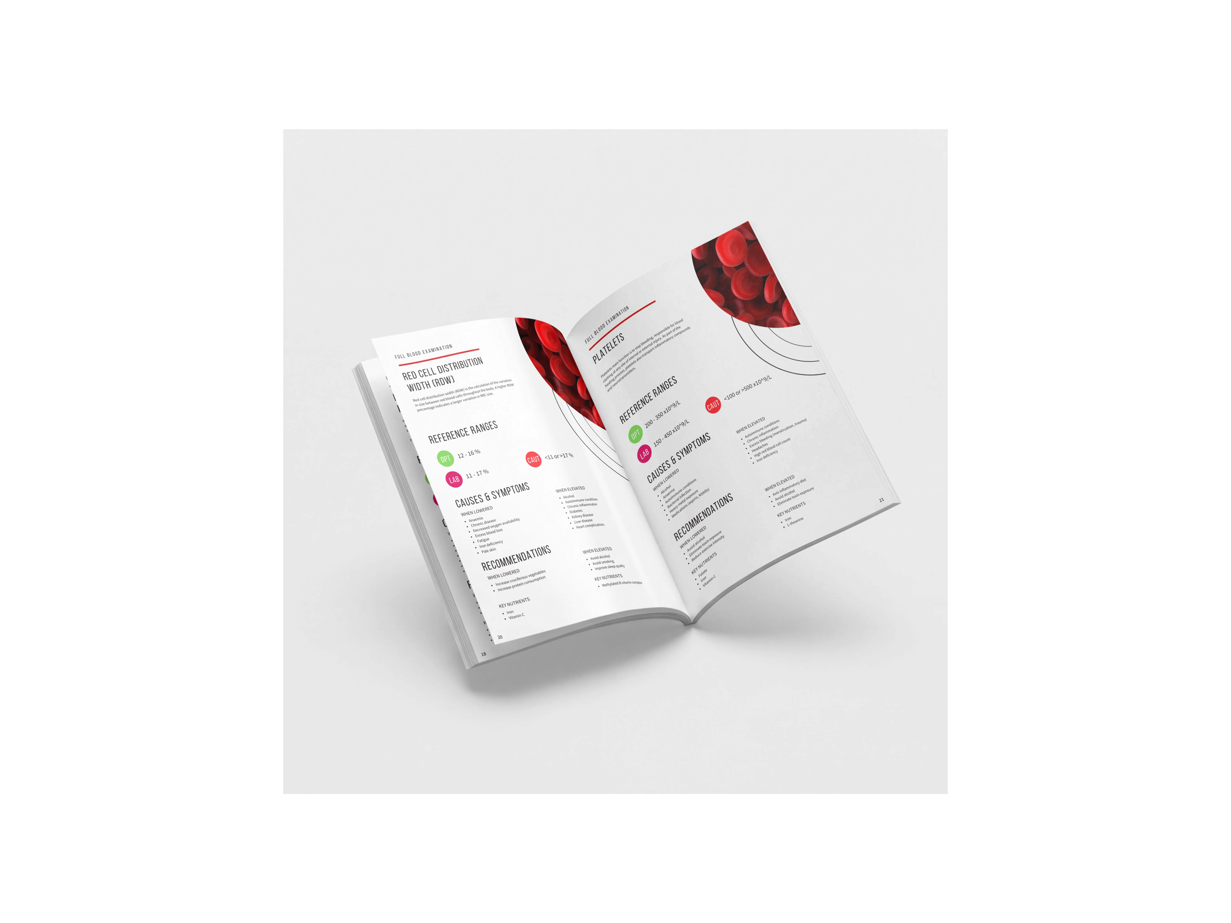 open-magazine-mockup(2).png