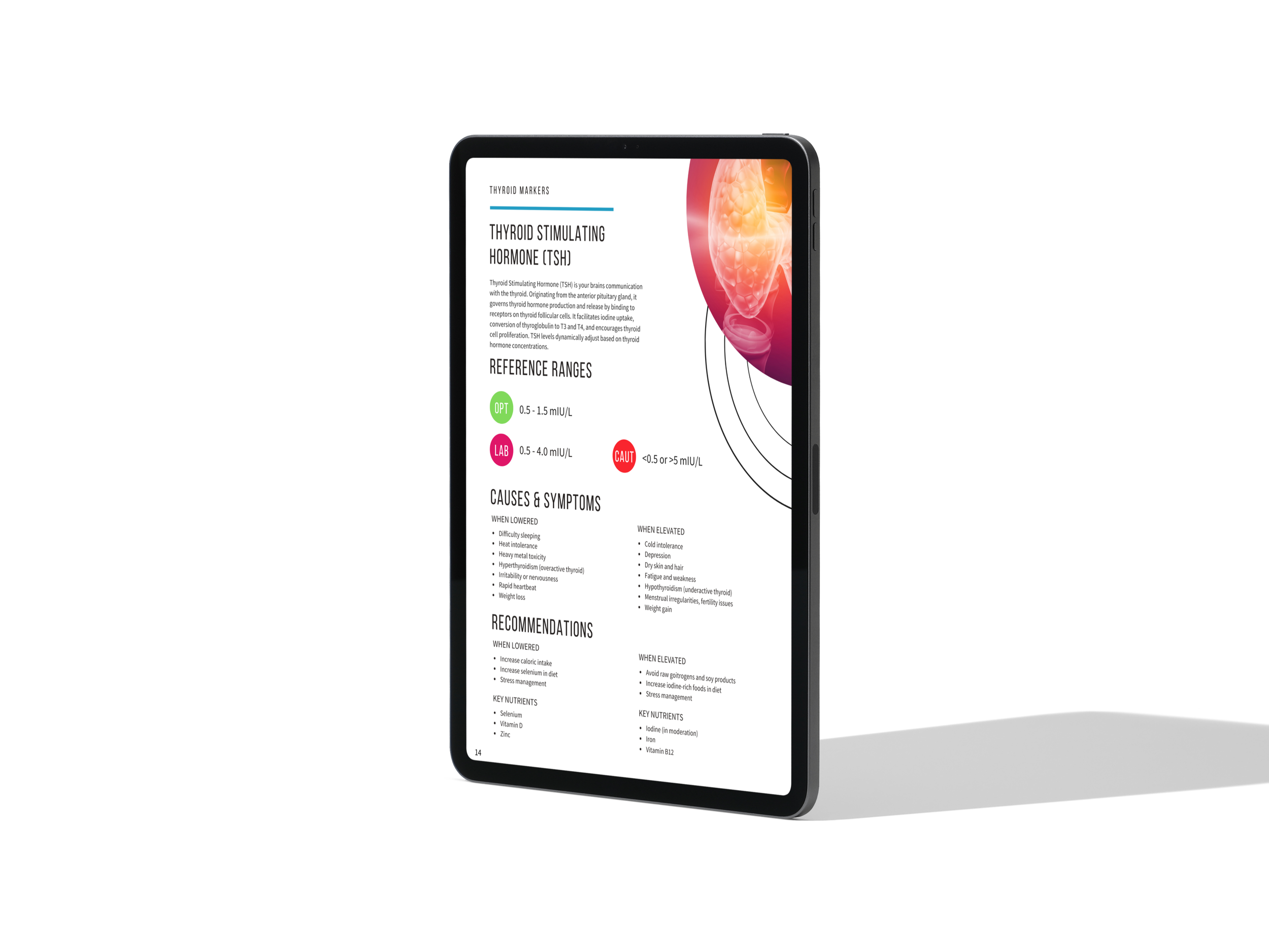 ipad-pro-mockup(3).png